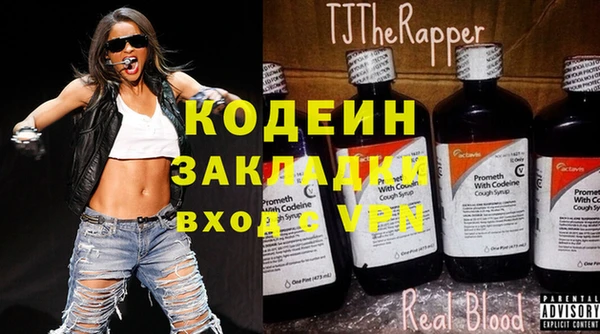 таблы Гусев