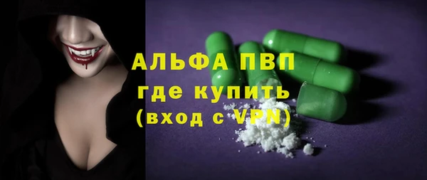 гидра Гусиноозёрск