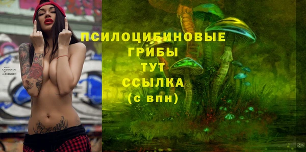 соль курить ск Сясьстрой