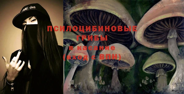первитин Гусь-Хрустальный