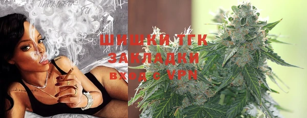 гидра Гусиноозёрск