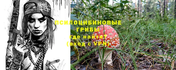 гидра Гусиноозёрск