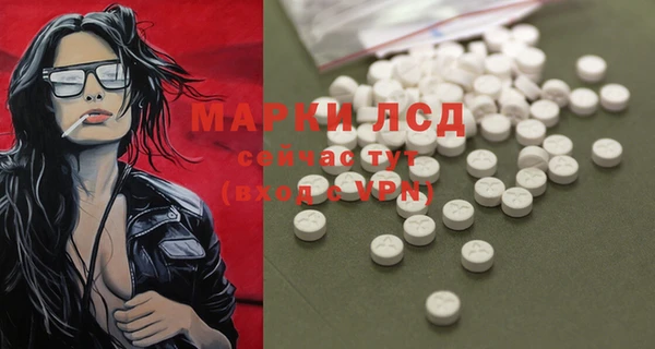 гидра Гусиноозёрск