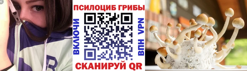 Купить где  Бабушкин  Псилоцибиновые грибы Magic Shrooms 
